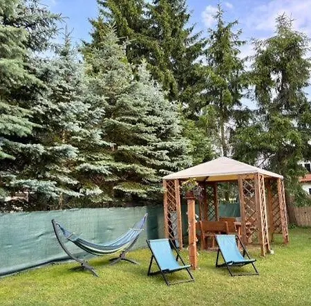 Butelkowa Zielen Wejsuny