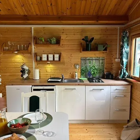 Butelkowa Zielen Wejsuny