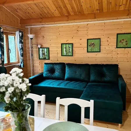 Butelkowa Zielen * Wejsuny