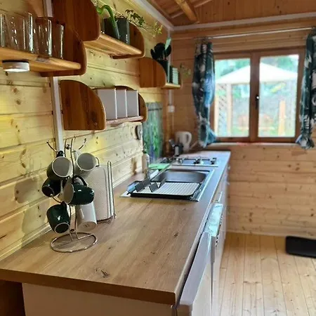 Butelkowa Zielen Wejsuny