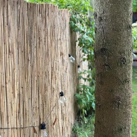 Butelkowa Zielen * Wejsuny