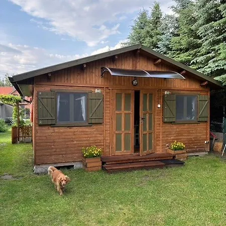 Butelkowa Zielen Wejsuny